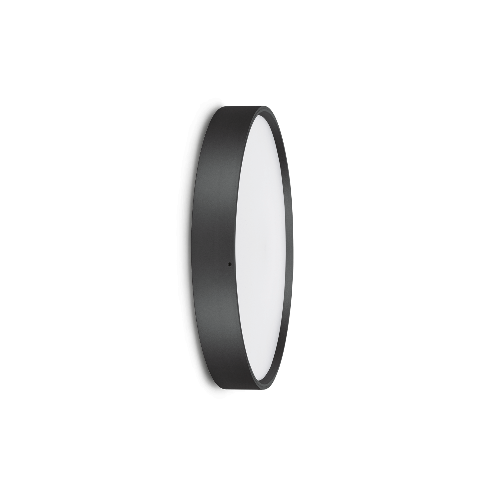 Ola 330 Color