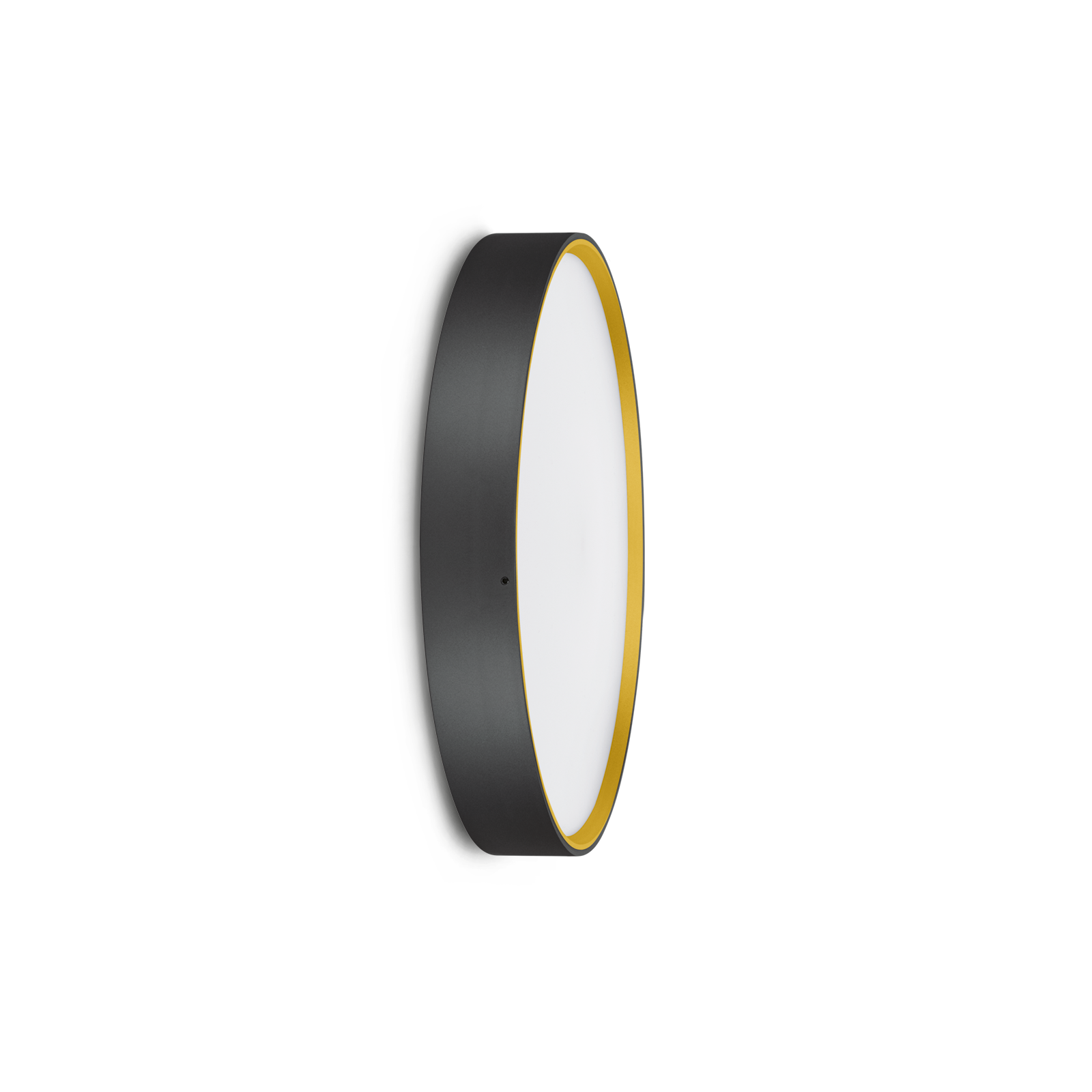 Ola 330 Color